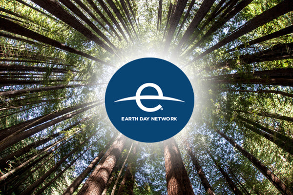 Sustainable Style Revolution: A Tribute to Earth Day