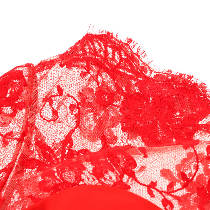 Alexander McQueen Lace Detail Evening Dress. Size XXS