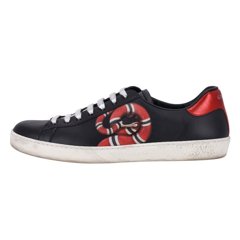 Gucci Ace Kingsnake Leather Sneakers. Size 43