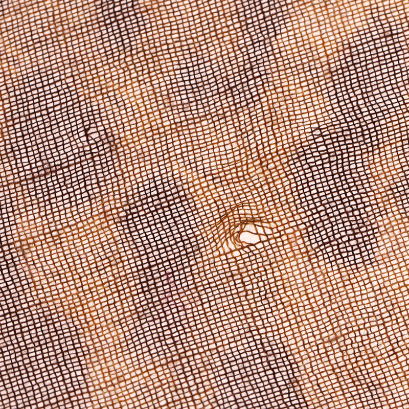 Jimmy Choo Silk & Cashmere Blend Leopard Print Scarf