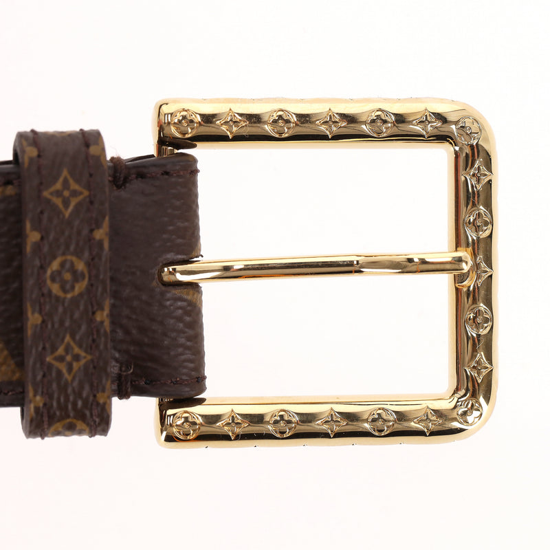 Louis Vuitton Monogram Daily Multi Pocket Belt Bag