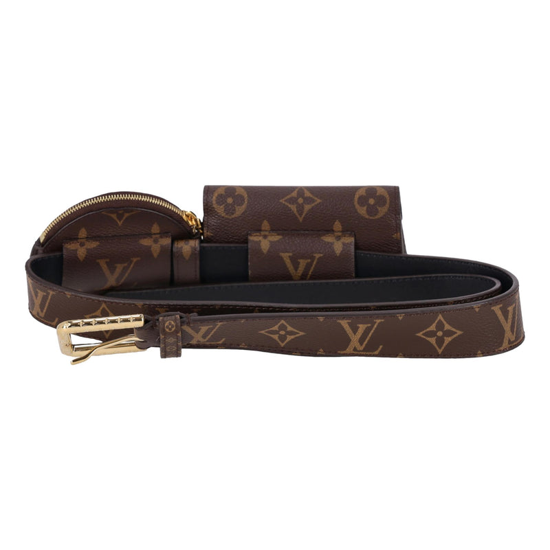 Louis Vuitton Monogram Daily Multi Pocket Belt Bag