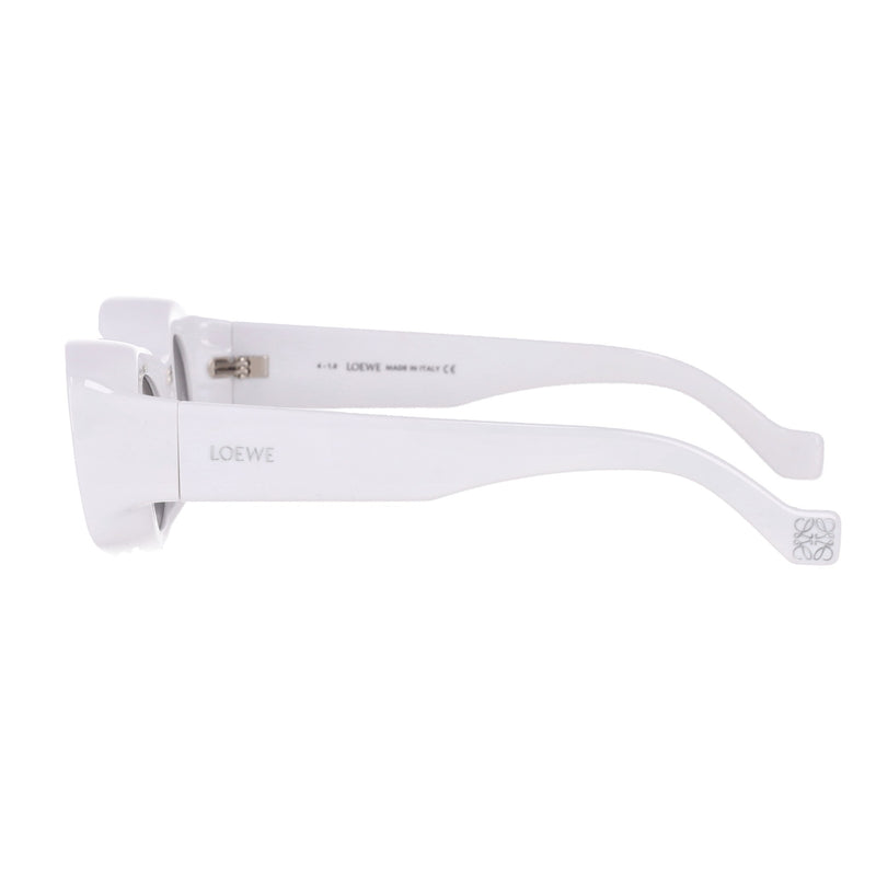 Loewe Paula's Ibiza Sunglasses