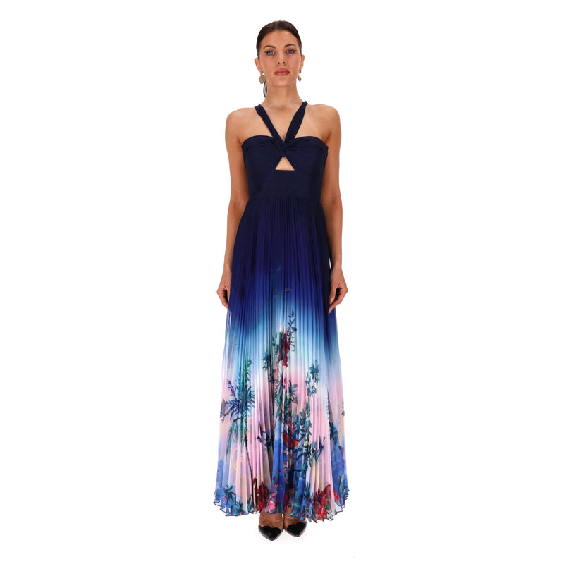 Marchesa Notte Cut-Out Detail Ombre Floral Plisse-Chiffon Gown. Size 2US