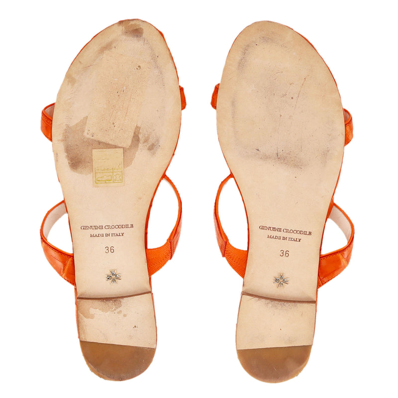 Nancy Gonzalez Crocodile Skin Sandals. Size 36