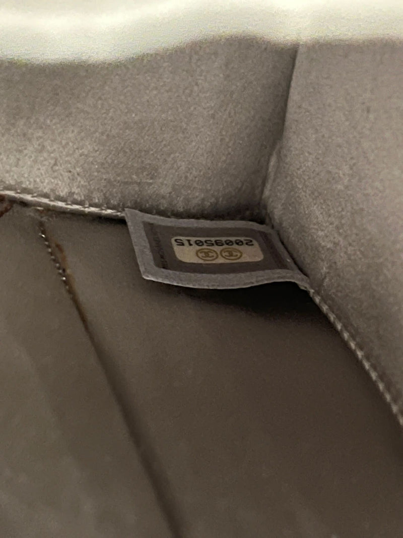 Chanel Iridescent Leather Milk Carton Handbag From The Supermarket Collection